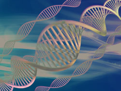 attivare frammenti del DNA
