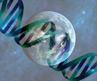 l’origine del DNA