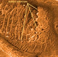 Strana conformazione sulla superficie marziana