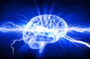 Cervello ed energia quantica