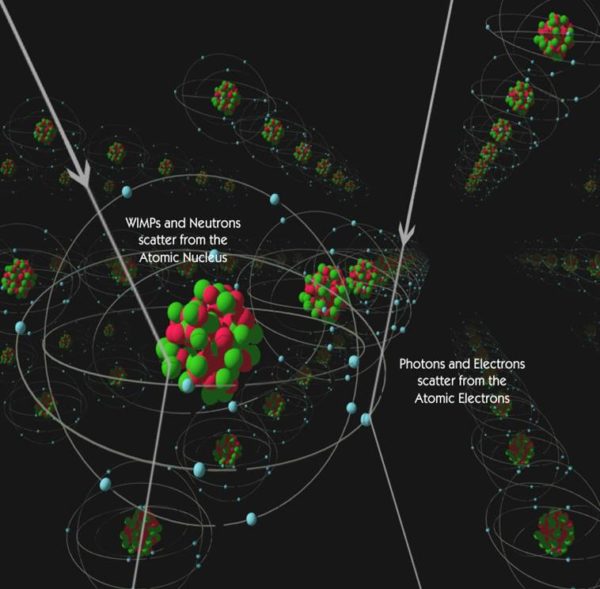 Con le WIMP si riesce a spiegare tutta la materia oscura che vediamo nell'universo. Esse avrebbero una massa circa otto volte maggiore della particella di Higgs e sono previste essere la loro propria antiparticella, il che significa che se due di esse si scontrano, si annientano rilasciando una quantità di fotoni che possono offrire un modo per individuarle nell'universo.