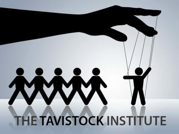 Tavistock istitute