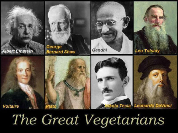 Grandi vegetariani
