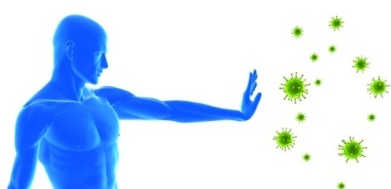 Risultato immagini per Paura e Sistema Immunitario