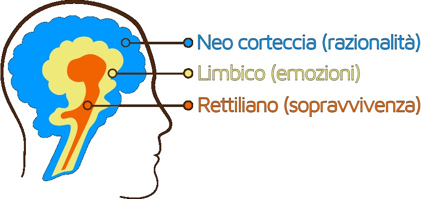 Tre cervelli, workshop promozionale – Pino De Sario